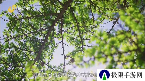 爱尚电视