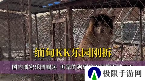 你把大哥洗死了！一觉醒来潘宏真的塌房了？
