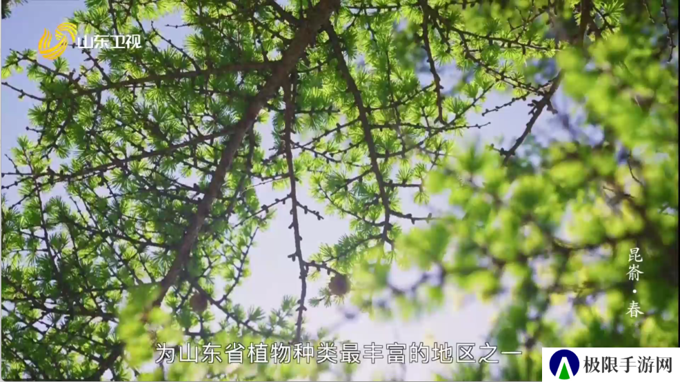 爱尚电视