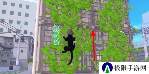 小猫咪大城市螃蟹帽怎么收集