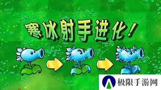 植物大战僵尸杂交版寒冰射手进化后怎么样-pvz寒冰射手进化内容介绍