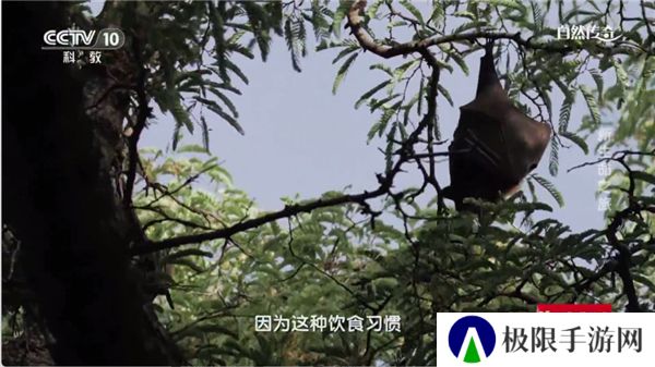 时光未央