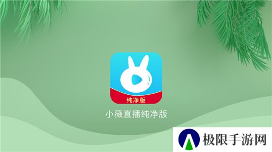 野草助手TV版