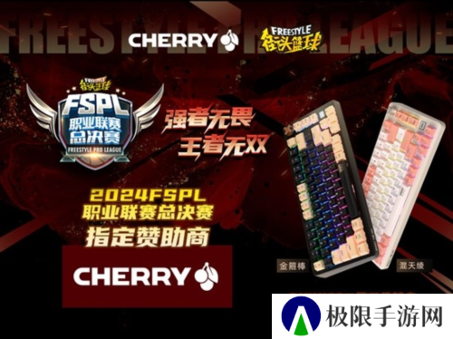 王者无双 CHERRY赞助2024FSPL职业联赛总决赛