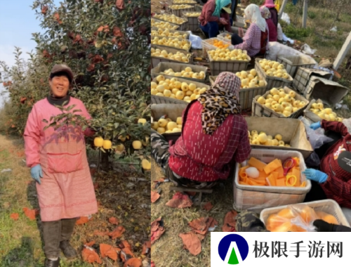 《荒野迷城》助农行动玩游戏做公益 千箱爱心免费领