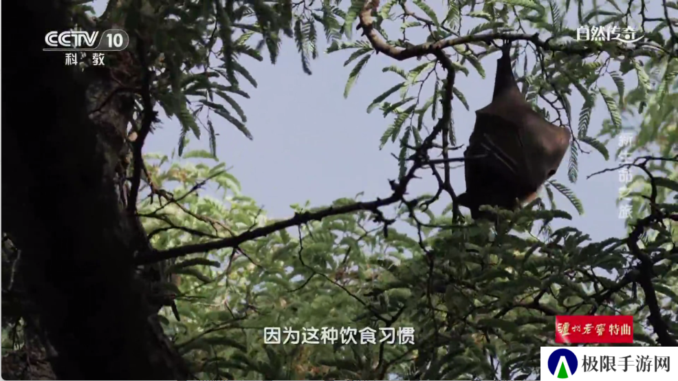 时光未央