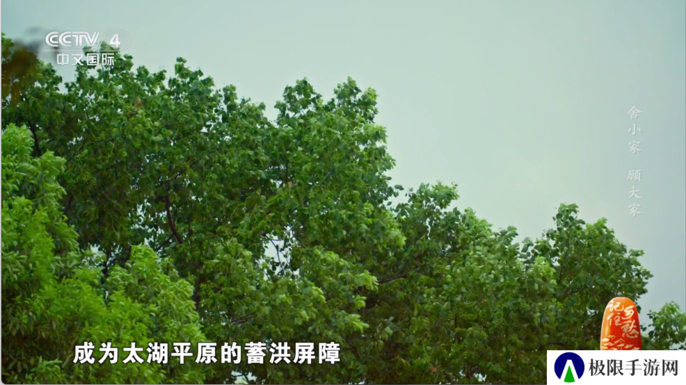 Ipv6青柠电视