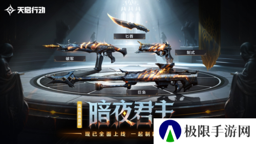 天启行动11