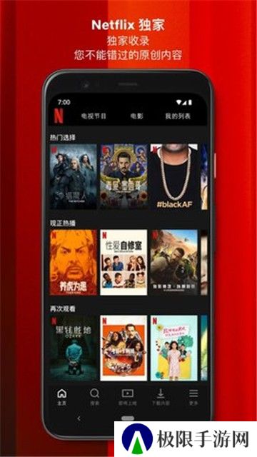 奈飞中文电影站