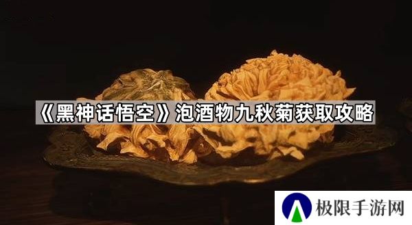 黑神话悟空泡酒物九秋菊怎么获得-泡酒物九秋菊获取攻略
