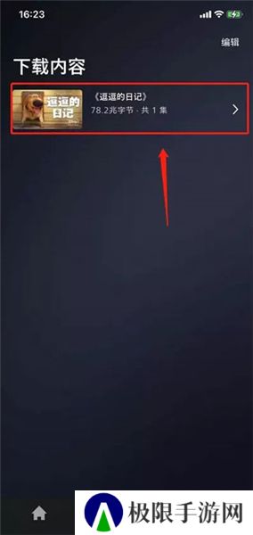 Disney+App