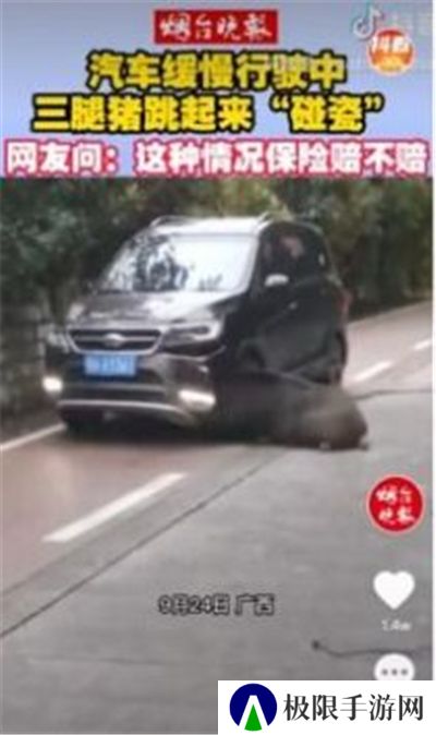 抖乐短视频平台