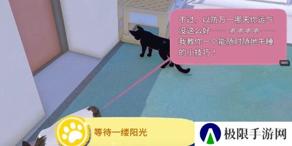 小猫咪大城市快速午睡动作怎么获得