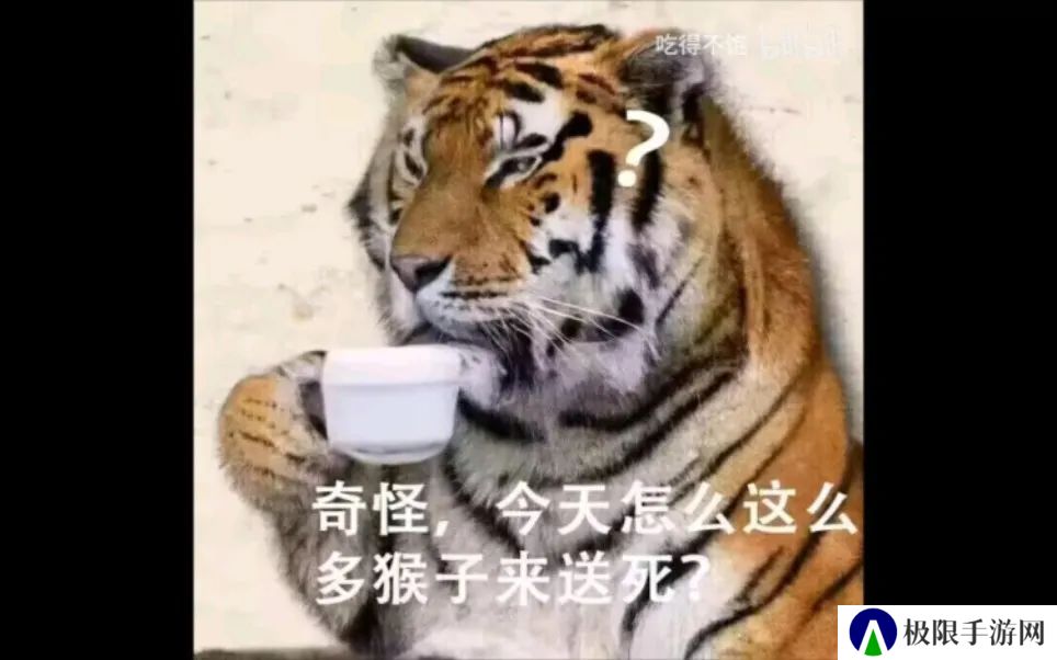虎先锋本一心向善 却迫于现实只能低头的反差虎