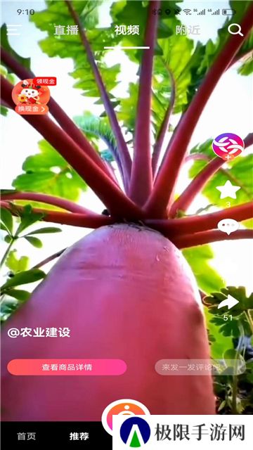 米蕉点视