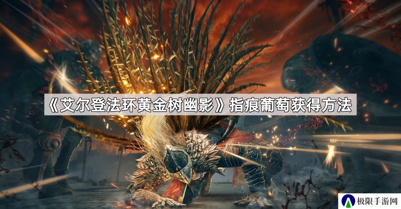 艾尔登法环黄金树幽影指痕葡萄怎么获得-黄金树幽影指痕葡萄获得方法