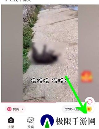 皮皮搞笑下载