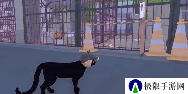 小猫咪大城市从管道中救出成就攻略