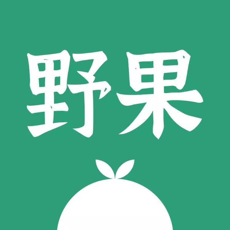 野果阅读纯净版下载