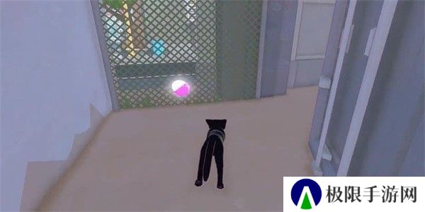 小猫咪大城市茄子帽怎么收集
