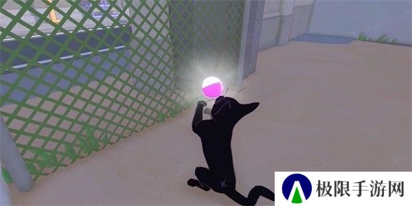 小猫咪大城市茄子帽怎么收集