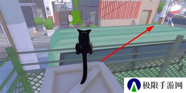 小猫咪大城市瓢虫帽怎么收集