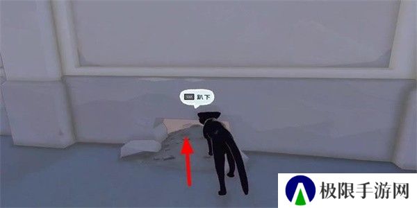 小猫咪大城市瓢虫帽怎么收集