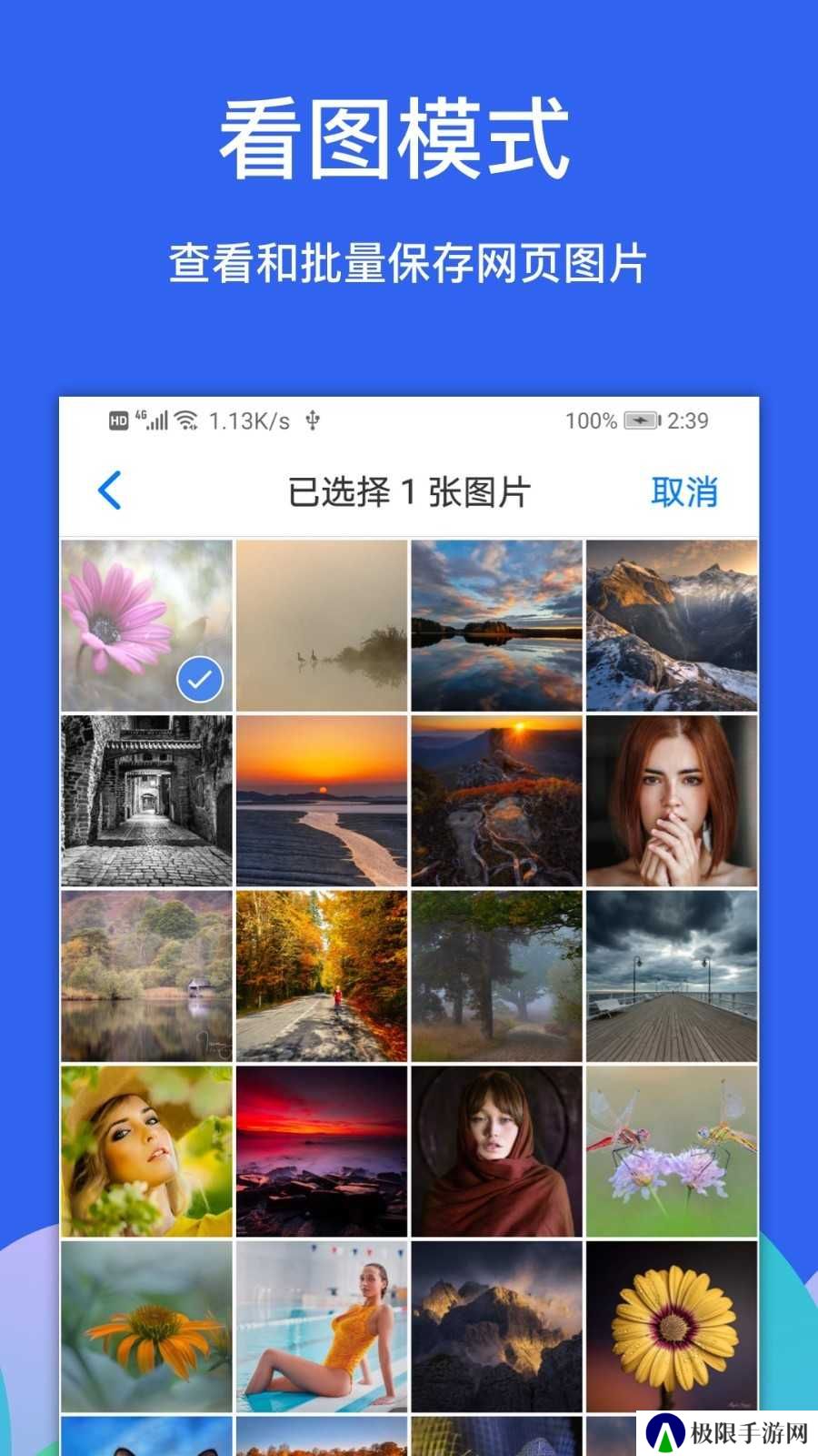 Alook浏览器视频下载插件