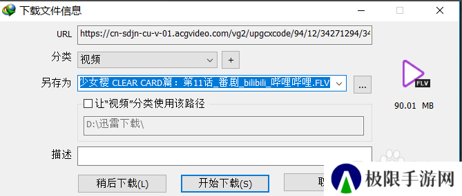 Internet Download Manager(IDM下载器)截图