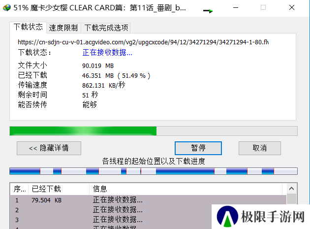 Internet Download Manager(IDM下载器)截图
