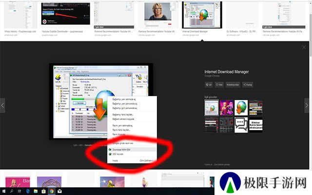 Internet Download Manager下载