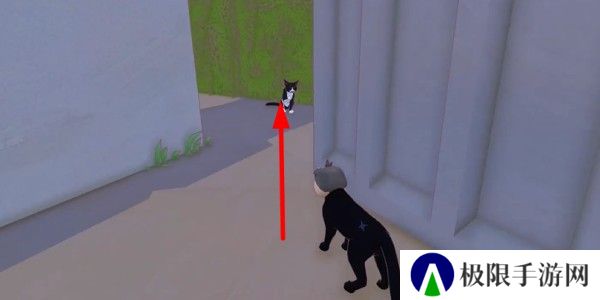 小猫咪大城市日常美容动作怎么获得