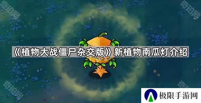 植物大战僵尸杂交版新植物南瓜灯怎么样-新植物南瓜灯介绍