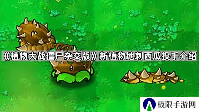 植物大战僵尸杂交版地刺西瓜投手怎么样-新植物地刺西瓜投手介绍