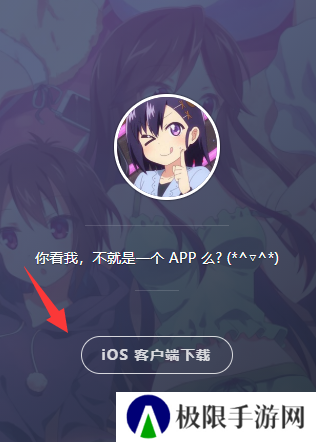 age动漫ios苹果版