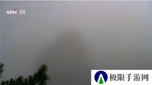 秒看电视HD