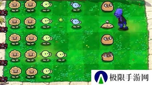 咕咕番最新版