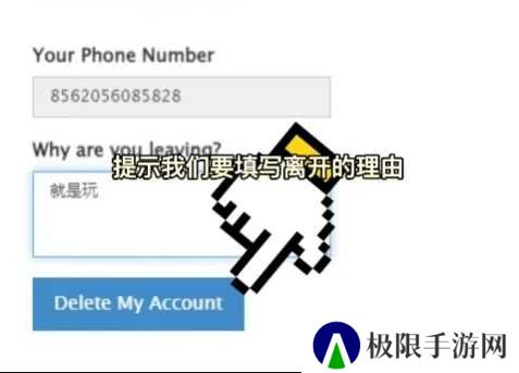 纸飞机官方
