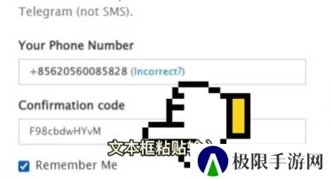 纸飞机官方