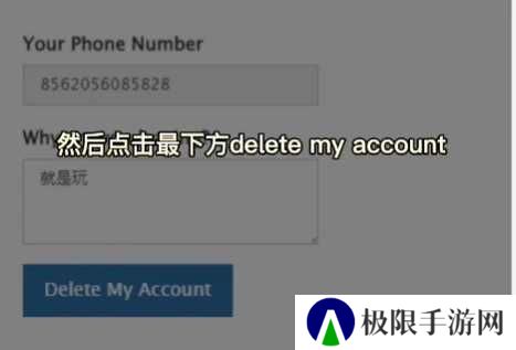 纸飞机官方