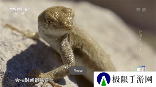 星火电视