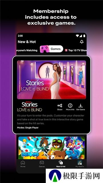 NETFLIX正版