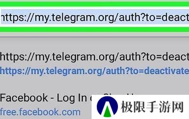 纸飞机聊天软件中文版官方