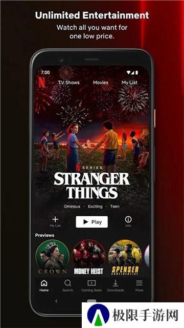 NETFLIX正版