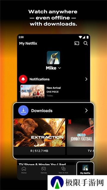 NETFLIX正版