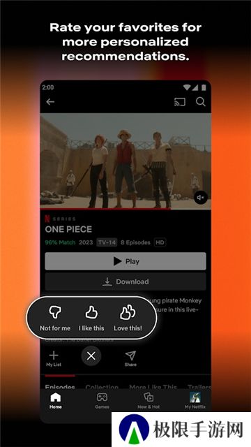 NETFLIX正版