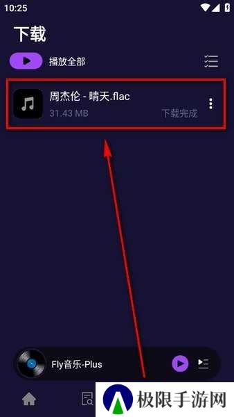 fly音乐app下载