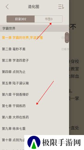 顶点小说12