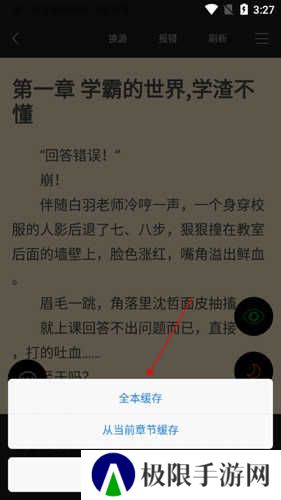 顶点小说1