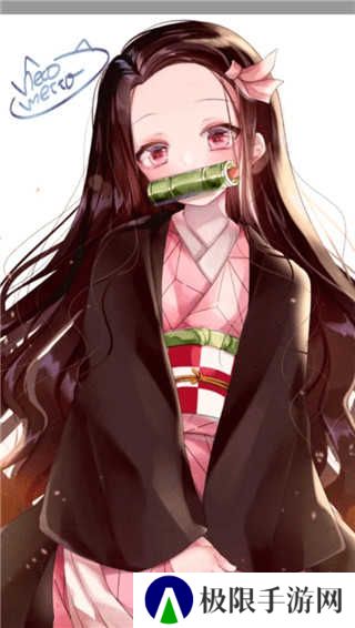 樱花动漫第三方版安装
